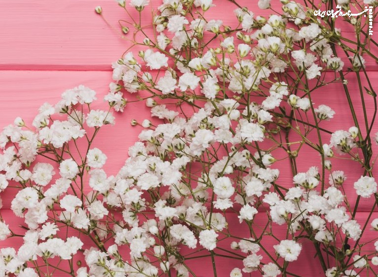 ۱۰ والپیپر لطیف و صورتی برای گوشی +دانلود