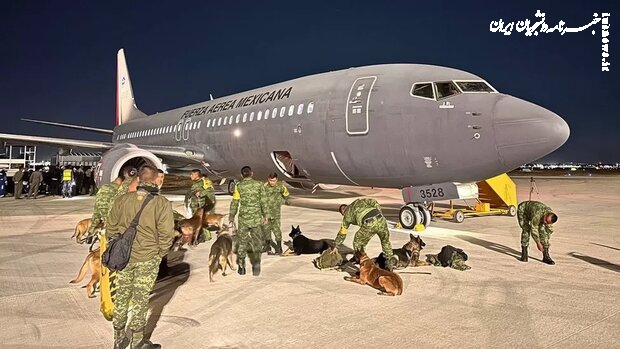 سگ‌های امدادگر مشهور مکزیک راهی ترکیه شدند +عکس