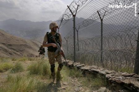 کشته شدن ۱۲ جنگجوی جنبش طالبان