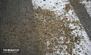 عکس| عملیات ویژه در روز برفی پایتخت