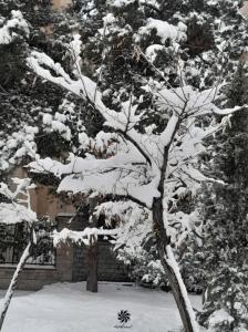 عکس| مجموعه والپیپر برفی و زمستانی +دانلود