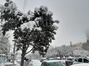 عکس| تصاویر جذاب از روز برفی تهران