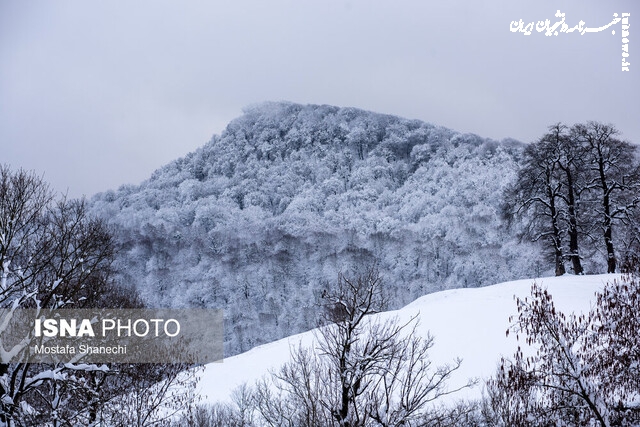 پیش بینی وضع هوا در کشور