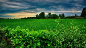 ۱۰ والپیپر خیره کننده از طبیعت ایران برای رایانه +دانلود