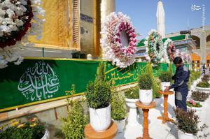 تصاویر| نصب کتیبه‌های ولادت سرداران کربلا در نجف
