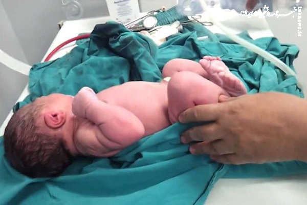 ارثیه‌ای که حیات بخش شد