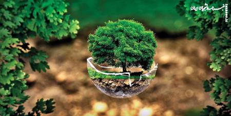 ۶۰ طرح پیشنهادی اساتید دانشگاه تهران برای محیط زیست