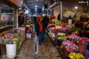 حال‌وهوای بازار گل و گیاه محلاتی پایتخت
