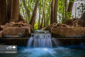 عکس| «باغ پهلوان پور» در مهریز