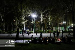 تصاویر| روز طبیعت در بوستان ملت