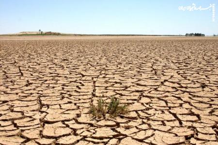 اقدام فائو برای تحول مدیریت مناطق خشک