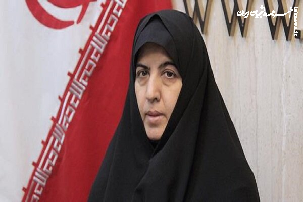 لایحه پیشگیری از آسیب‌دیدگی زنان متناسب با فرهنگ ایرانی است