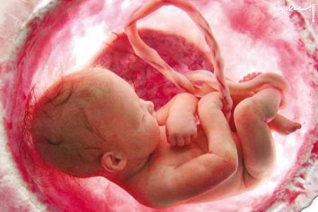 آزمایش مثبت بارداری‌ تان در این سامانه ثبت می شود/ فروش اینترنتی داروهای سقط جنین