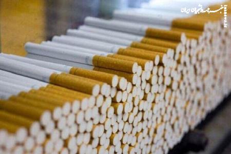 تصویب مالیات نخی برای سیگار/ از هر نخ سیگار تولید داخل و وارداتی چقدر مالیات گرفته می‌شود؟