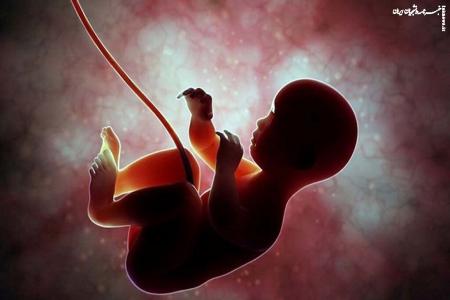ارسال ۱۰۰ پرونده سقط‌ جنین به مراجع قضایی/ جزئیات کار سامانه ملی باروری سالم