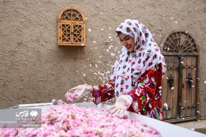 تصاویر| نوزدهمین جشنواره گل و گلاب تهران