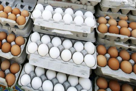 قیمت جدید تخم مرغ در میادین تره بار