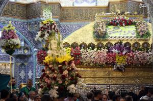 تصاویر| گل‌آرایی ضریح حرم حضرت معصومه(س)