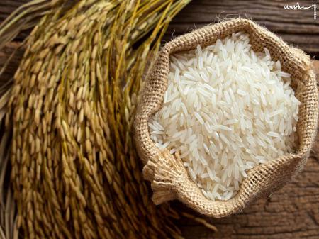 با روزی ۵حبه برنج یا گندم چند نفر از گرسنگی نجات پیدا می‌کنند؟ +ویراست