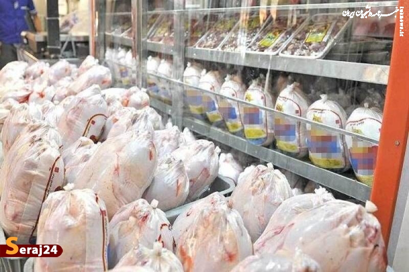 ورود مرغ گرم به استان تهران ۴ برابر شد/ تولید مرغ در میادین کمتر از قیمت مصوب 