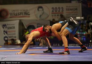 تصاویر| چهل و سومین دوره مسابقات کشتی آزاد جام تختی