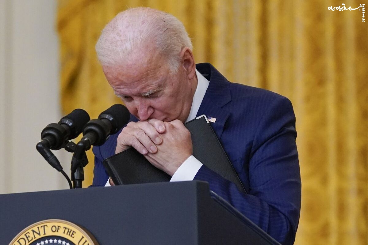 گفت و شنود/ سرِ گاو! 