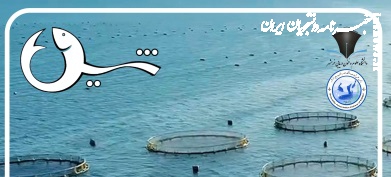 شماره سوم نشریه دانشجویی «شیل» منتشرشد+ دانلود