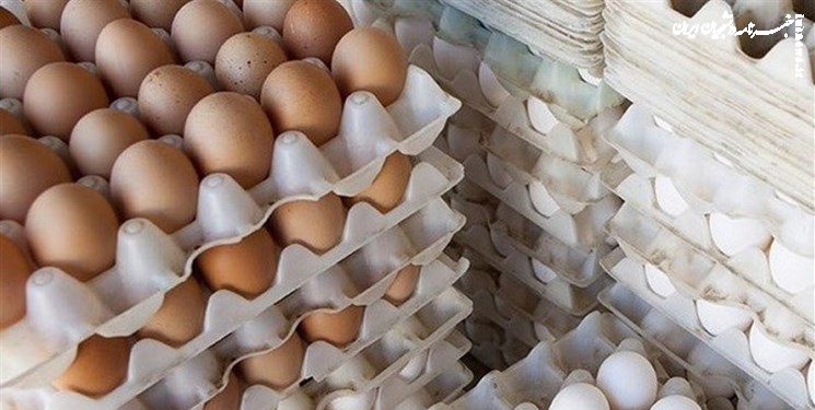 سقوط آزاد قیمت تخم مرغ در بازار