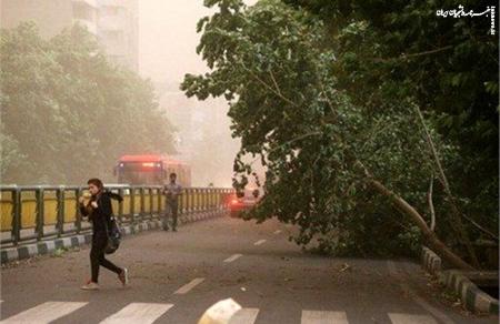 پیش بینی احتمال وزش باد شدید در تهران
