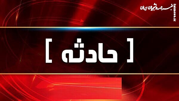 حمله سگ‌های هار به شهروندان مرندی ۱۲ مصدوم برجای گذاشت