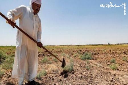 هزاران کشاورز عراقی به علت خشکسالی راه شهرها را در پیش گرفتند