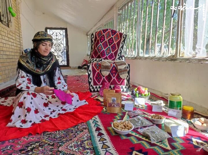 ۱۰۳ هزار فرصت شغلی در حوزه مشاغل خانگی