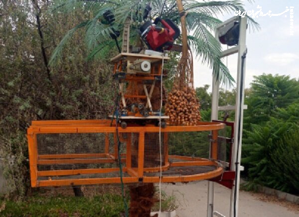 طراحی و ساخت ربات برداشت خرما توسط محققان دانشگاه تهران