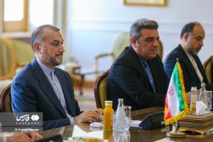 تصاویر| استقبال امیرعبداللهیان از همتای سریلانکایی