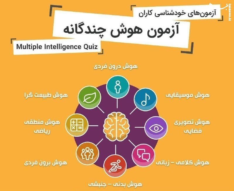 کشف استعداد خود؛ تست گاردنر و نظریه هوش چندگانه