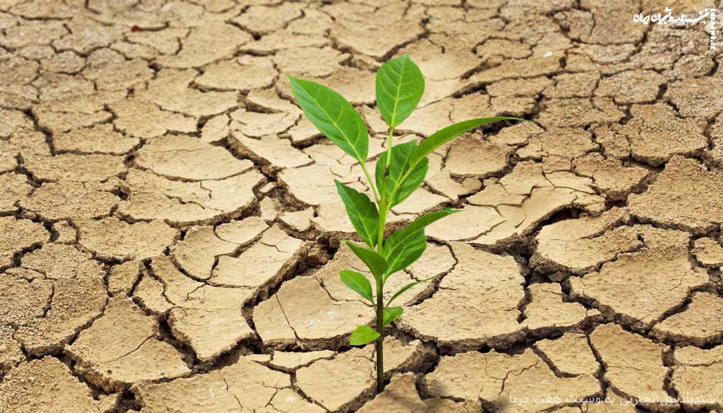 ذخایر آبی عراق به کمترین سطح تاریخ این کشور رسید