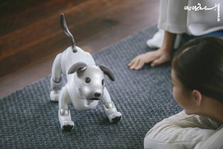 ربات‌های مجهز به هوش مصنوعی جایگزین سگ و گربه خانگی می‌شوند؟
