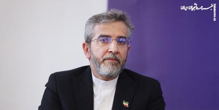 علی باقری: پیوستن ایران به بریکس در بعد بین‌المللی سیاست خارجی دولت سیزدهم است