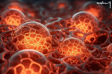 فناوری تک پیکسلی امکان تصویربرداری سه‌بُعدی از سلول‌های زنده را فراهم کرد