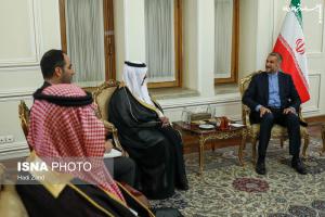 عکس| تقدیم استوار نامه سفیر جدید عربستان به حسین امیر عبداللهیان