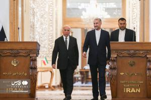 تصاویر| دیدار امیرعبداللهیان با  وزیر خارجه عراق