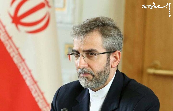 دفاع از حقوق ایرانیان در سراسر جهان دستور کار دیپلماسی ایرانی است