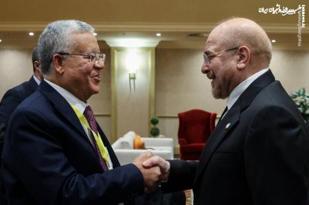 تصاویر| دیدار رئیس مجلس مصر با قالیباف