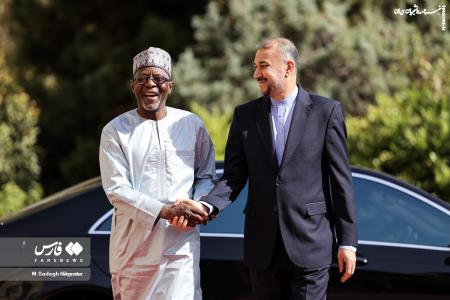 تصاویر| دیدار امیرعبداللهیان و وزیر خارجه نیجر