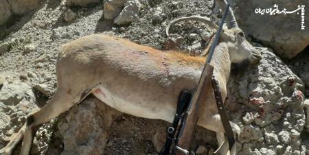 بی‌رحم‌ترین شکارچی ایران دستگیر شد