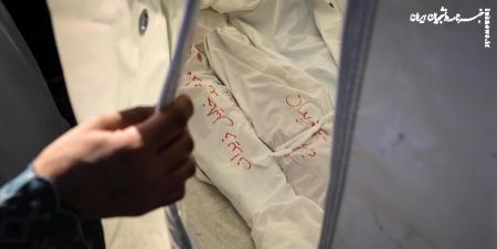Gaza Ministry: 110 Doctors, Other Medical Staff Killed So Far