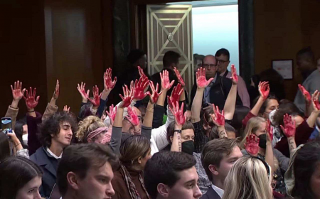 جلسه استماع سنا/ اعتراض فعالان ضدجنگ با دست های خونین