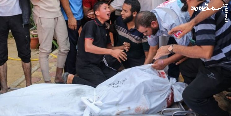 UN Agency, NGO Heads Make Rare Joint Plea for Gaza Ceasefire