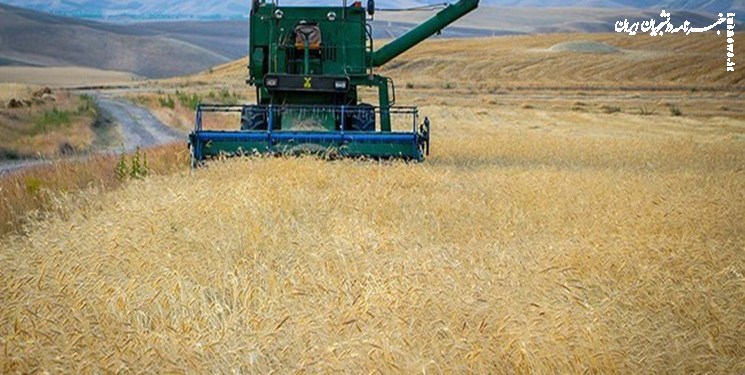 قراداد بزرگ واردات گندم بین سوریه و روسیه  