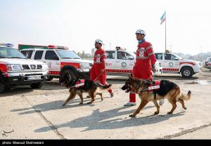 تصاویر| مانور تمرین اسکان اضطراری کلانشهر تهران